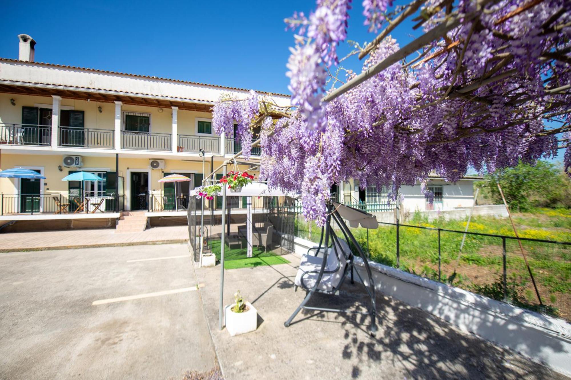 Ionian Luxury Apartments Perama  Dış mekan fotoğraf